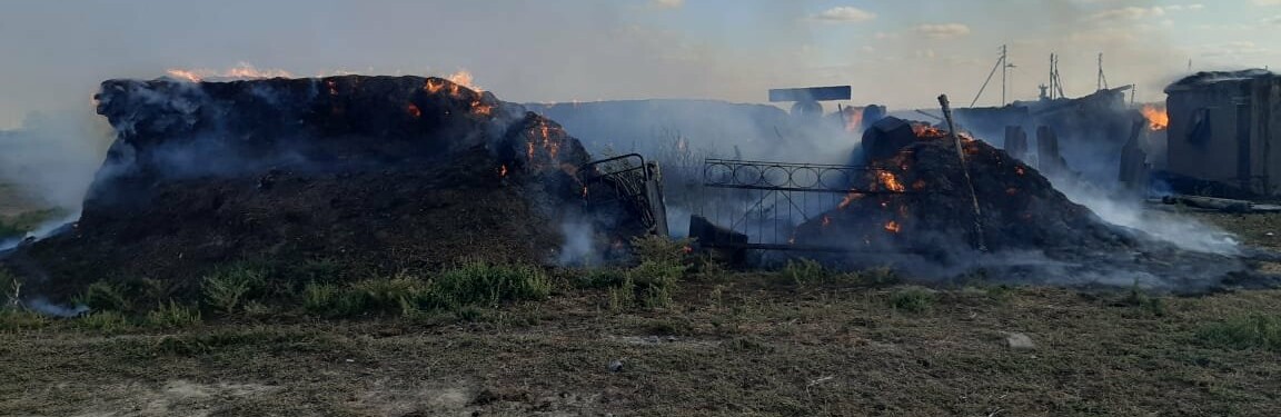 Батыс Қазақстан облысындағы мал азығы өртенді Батыс Қазақстан облысындағы мал азығы өртенді