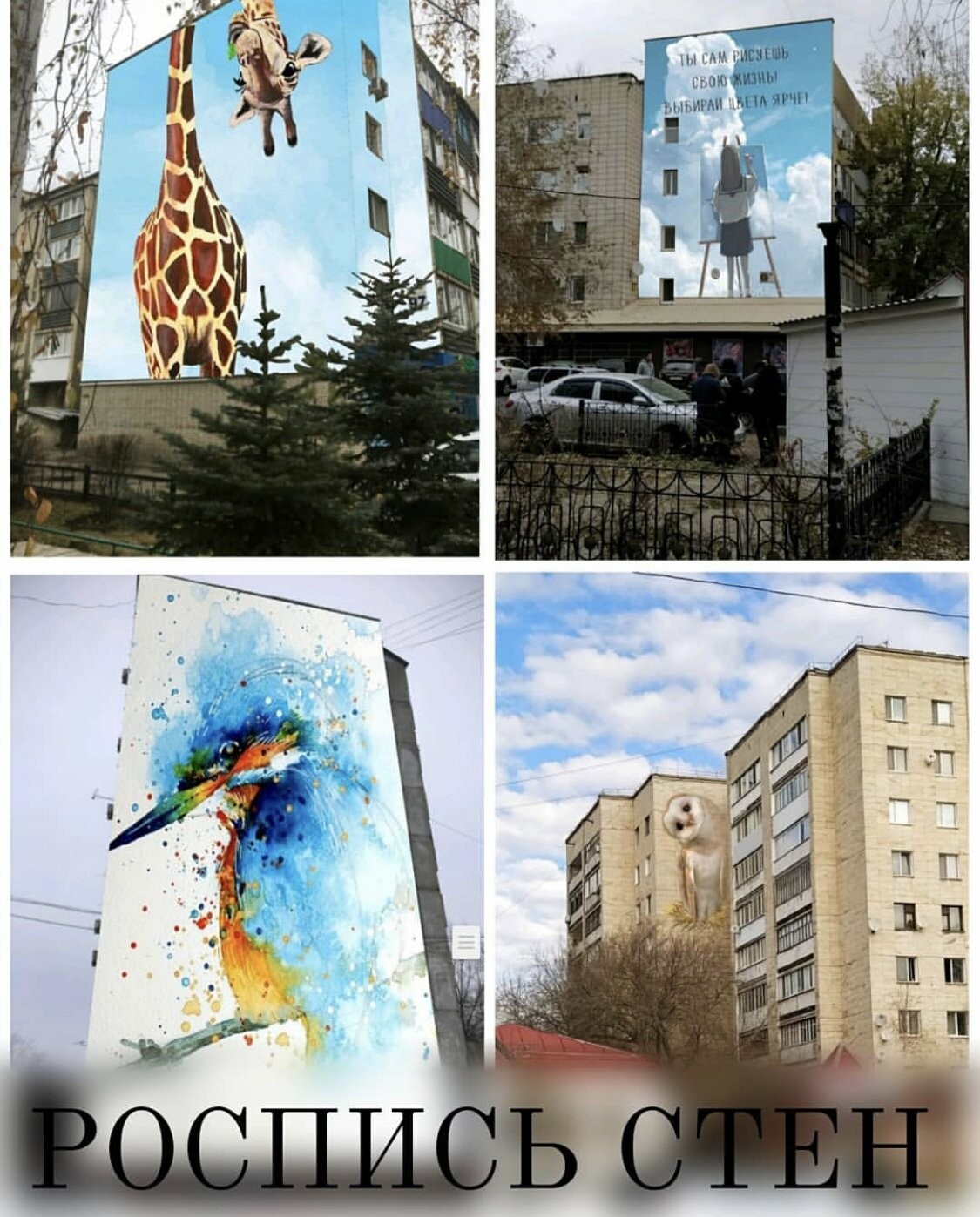 Какой граффити Вы выберете?